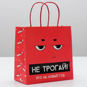 Пакет новогодний «Не трогай, это на новый год» 22 × 22 × 11 см